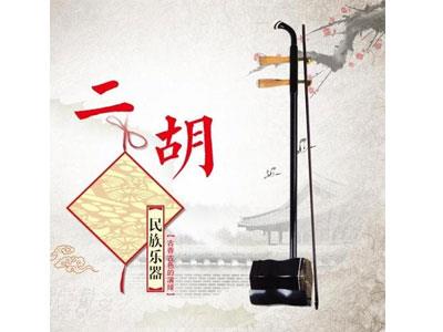 招聘泸州二胡家教老师